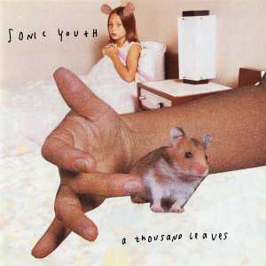 Brano: “Sunday” dei Sonic Youth Album: “A Thousand Leaves“ del1998
