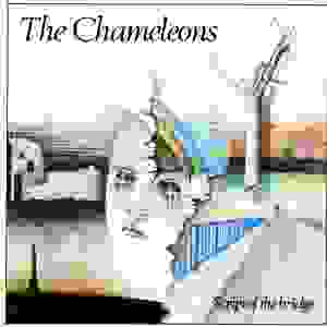 Brano: “Don’t Fall” dei The Chameleons