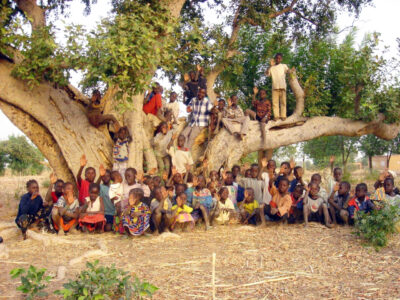 albero del palaver bambini africa